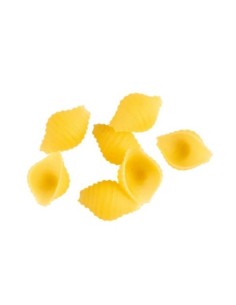 Pâtes Coquillage