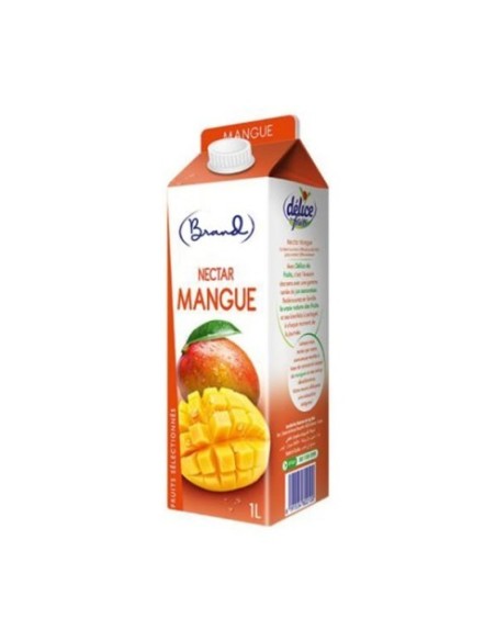Jus de nectar de mangue 1 L